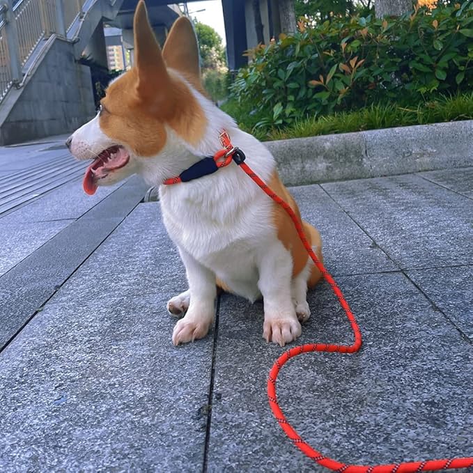 50FT Long Slip Lead Leash, 12ft 20ft 30ft Reflective Rope Training Lead Anti-Choking for Medium Dogs Small Puppy Pets Outdoor- Backyard- Playing- Recall- Traning (Blue)