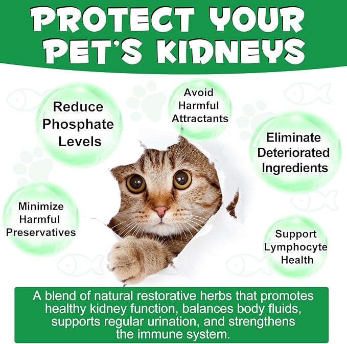 Kidney Support for Cats, Cat Kidney Treatment Support Cat Urinate Regularly, Strengthen Kidney Function,Increase Immunity, Herbal Supplement Supports Healthy Kidney Function- 60ml/2fl.oz