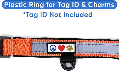 Pawtitas Lumberjack Padded Martingale Collar for Dogs | Soft Neoprene Dog Collar for Your pet's Comfort Made with Reflective Band for Maximum Visibility | Fits Small and Large Pets - XS Orange