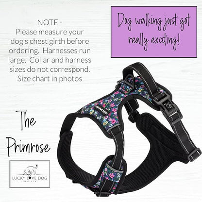 Lucky Love Dog No Pull Dog Harness, Adjustable and Easy to Walk, Cute Patterned Harness for SmallMale & Female Dogs - Primrose, Small