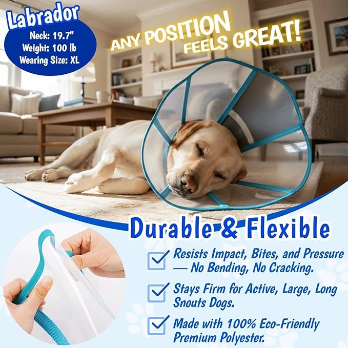 Comfy Dog Cone Collar for Dogs to Stop Licking, Soft Transparent E Collar for Small Dogs After Surgery, Extra-Long Recovery Cones, Durable & Easy-Clean Pet Neck Collar, Lightweight Cone(Blue-Green, S)