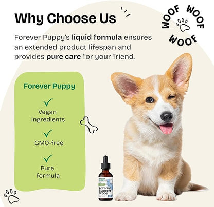 Forever Puppy Adrenal Support Drops for Dogs - Pure Ashwagandha & Ginseng Root Tincture for Adrenal Health & Energy Support - Calming Care Liquid Supplement for Dogs of All Breeds & Sizes - 2 oz