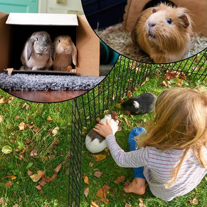 BestPet | Foldable Dog Playpen | 42 Inch, 8 Panels | Metal Pet Exercise Pen | Indoor Outdoor Portable Dog Fence with Door | Removable, Rust-Resistant Secure Pet Kennel | Easy to Assemble