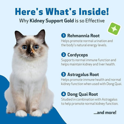 Pet Wellbeing Kidney Support Gold for Cats - Supports Normal Kidney Function & Detox, Healthy Hydration & Energy with Rehmannia & Dong Quai - NASC Certified & Vet-Formulated - 2oz Liquid Formula