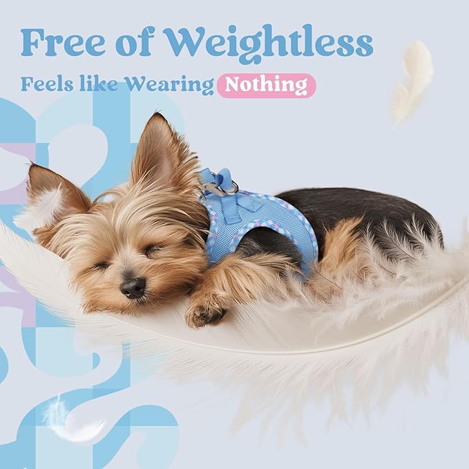 rabbitgoo Small Dog Harness, Step-in Soft Mesh Puppy Vest with Safety Buckle, Breathable Reflective Pet Harness for Small Sized Dogs, Blue & Plaid Trim XS