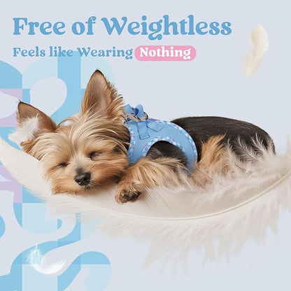 rabbitgoo Small Dog Harness, Step-in Soft Mesh Puppy Vest with Safety Buckle, Breathable Reflective Pet Harness for Small Medium Dogs, Blue & Plaid Trim L