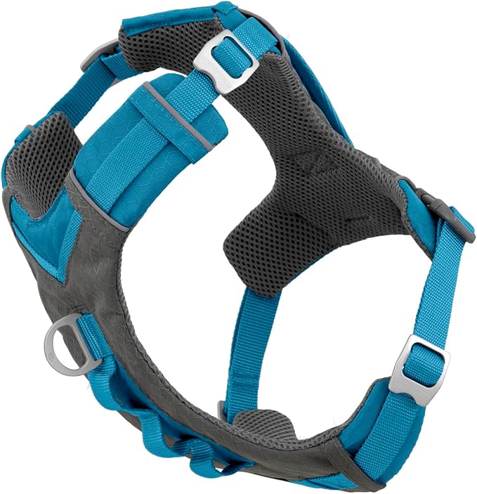 Kurgo Journey Air Dog Harness - Secure Fit for Active Dogs - Padded Chest - Lightweight Ripstop Fabric - Breathable Mesh - Reflective Trim - Back Assist Handle - Coastal Blue - Small