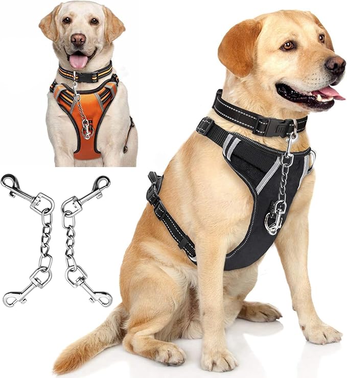 Dog Collar Safety Clip Metal Clasp Double Ended Connector 2 Pack Prong Chew Proof Backup Dog Clip for Pet Harness Collar Leash Necklaces Dog Strap Lead Carabiner Heavy-Duty Chain 8 inch