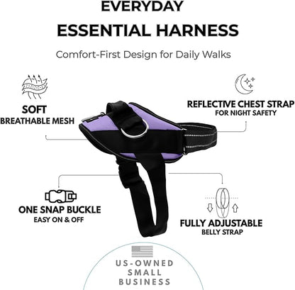 ShawnCo Essential Dog Harness, No-Pull Pet Vest with 3 Leash Clips, No Choke, Reflective, Adjustable and Padded, for Easy Walking and Training for Small, Medium and Large Dogs (ICY Lilac, XS)