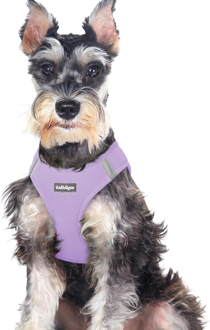rabbitgoo Small Dog Harness, Step-in Soft Mesh Puppy Vest with Safety Buckle, Breathable Reflective Pet Harness for Large Dogs, Light Purple XXL
