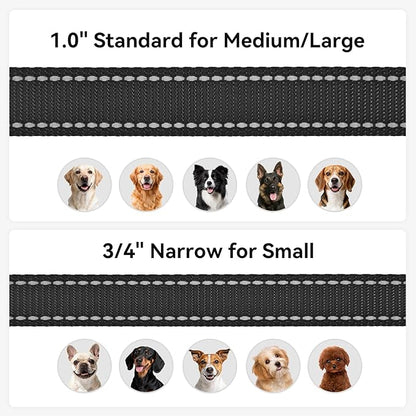 Joytale Dog Leash, 4 FT Double-Sided Reflective, Padded Handle Nylon Heavy Duty Leashes for Medium & Large Dogs Walking, Black