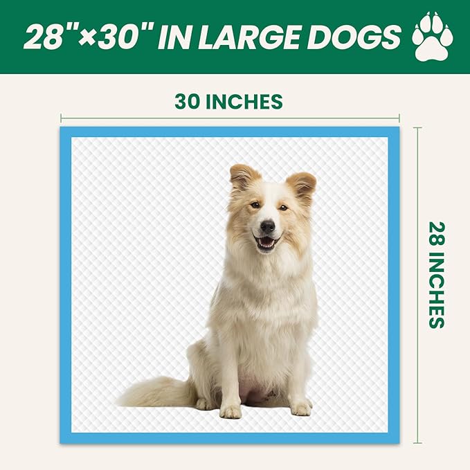 200 Count Large Dog & Cat Puppy Pee Pads - 28"x30" Absorbent Potty Training Pads | Leakproof Quick-Dry Disposable Pet Pads for Puppies, Dogs & Cats | Indoor, Outdoor, Litter Box, Housebreaking Use