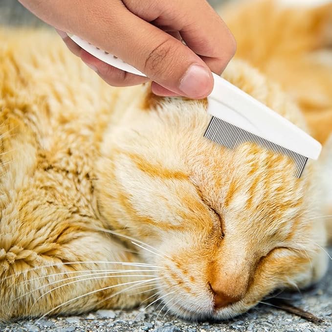 2 Pack Multifunctional Pet Comb, Upgrade Pet Grooming Brush Fine Magic Tear Stain Removal, Fine-Tooth Stainless Massage Comb Kit for Small Puppies and Dogs (White)
