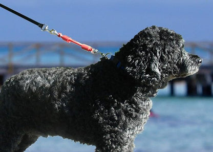 BUNGEE DOG LEASH EXTENSION – Patented Shock Absorber Attachment Protects You and Your Dogs – Works with ANY Leash & Collar or Harness – a MUST for Retractable Leashes – PICK SIZE/COLOR BELOW