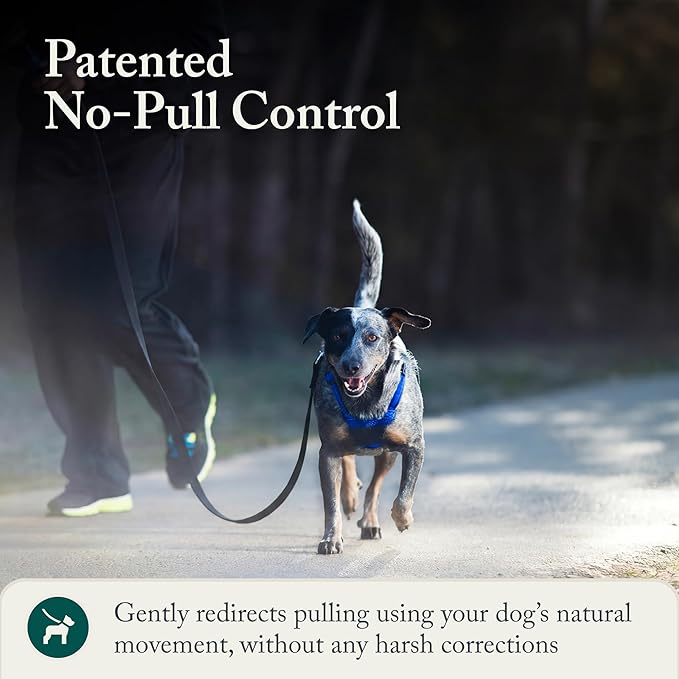 Sporn No Pull Dog Harness, Durable Nylon Mesh Harness for Medium Dogs, No Choke Design, Padded Restraint Sleeves, Adjustable Fit, Easy On/Off, Ideal for Medium Breeds, Blue