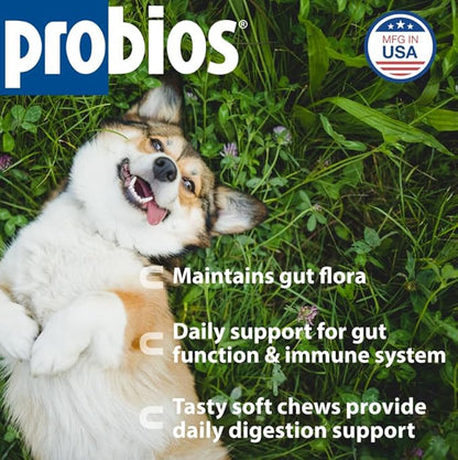 Probios for Dogs Soft Chews, Probiotics for Dogs, Daily Supplement for Gut Health, Digestion & Immune Support, Medium & Large Breeds, 8.46oz