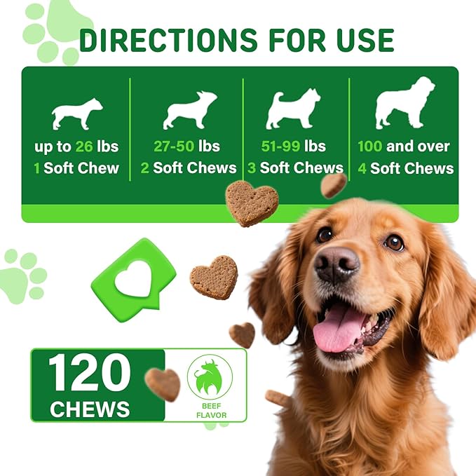 Cranberry Supplement for Dogs - Bladder Control & Urinary Tract Support, Beef Flavor Soft Chews - Dog UTI Treatment, Kidney Support, Immune & Gut Health - 120 Count (120 Ct, Beef)
