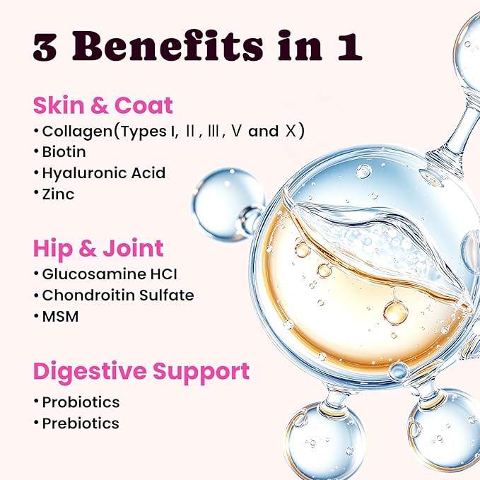 Premium Collagen for Dogs & Cats – 5 Types of Grass-Fed Collagen (I, II, III, V & X), Fast Allergy & Itch Relief Dog Colágeno with MSM, Biotin & Hyaluronic Acid – Supports Healthy Skin & Joints –120ml