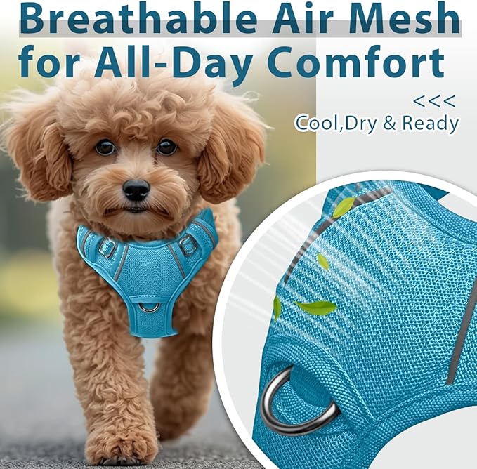 BARKBAY Dog Harness No Pull with ID Tag Pocket - Heavy Duty, Reflective, Easy Control for Large Dogs(Ocean Blue,S)