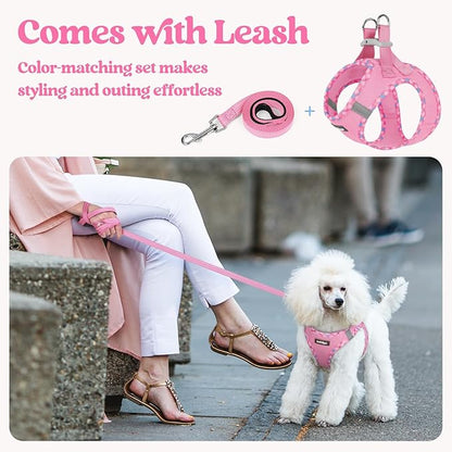 rabbitgoo Dog Harness Small Sized and Leash Set, Step in Soft Light Puppy Vest, Breathable Mesh Pet Harness, Reflective for Safe Easy Walking, Pink & Plaid Trim XXS