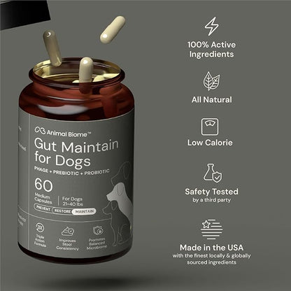 Animal Biome Probiotics for Dogs with S Boulardii, Gut Maintain (60 Capsules) – Triple-Action Medium Dog Probiotics, Prebiotics & Phage Supplements for Gut Health, Firmer Stool & Diarrhea Support