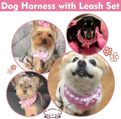 EXPAWLORER Cute Dog Harness and Leash Set - Pink Girl Dog Harness Checkered Step-in Design, Easy Adjustable No-Choke Lightweight Breathable Vest for Puppy Small Dogs Cats Outdoor Walking, X-Small