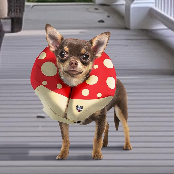 Mushroom Inflatable Dog Recovery Collar, Comfortable Cone Replacement for Pet Surgery, Protective Collars to Prevent Licking & Biting, Size Small