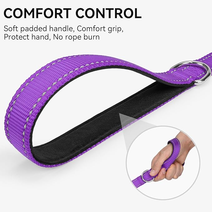 Joytale Dog Leash, 4 FT Double-Sided Reflective, Padded Handle Nylon Heavy Duty Leashes for Medium & Large Dogs Walking, Purple