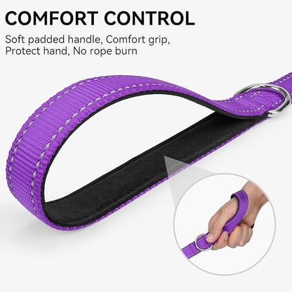 Joytale Dog Leash, 5 FT Double-Sided Reflective, Padded Handle Nylon Heavy Duty Leashes for Small Dogs Walking, Purple