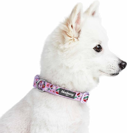 Cherry Garden Dog Collar with Dainty Flowers