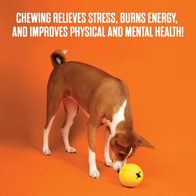 BULLYMAKE Yellow Toss N' Treat Cheeseburger Toy for Dogs, Durable Rubber Dog Toys for Aggressive Chewers, Dental Stimulating, Treat Dispensing, Boredom Busting, Pet Supplies, Made in USA