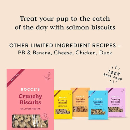 Bocce's Bakery Oven Baked Salmon Recipe Treats for Dogs, Wheat-Free Dog Treats, Made with Real Ingredients, Baked in The USA, All-Natural Salmon, Sweet Potato & Parsley Biscuits, 14 oz
