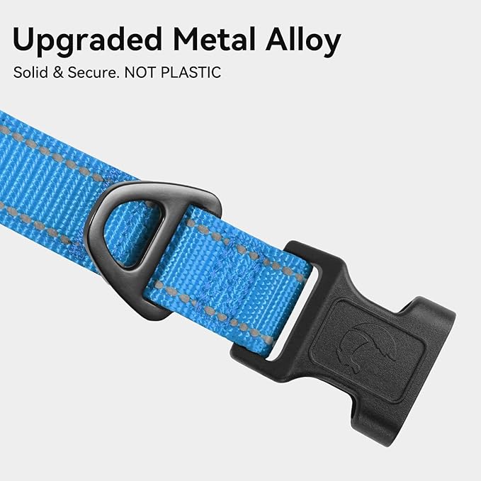 Joytale Reflective Dog Collar, Soft Neoprene Padded, Metal D-Ring, Nylon Pet Collar Adjustable for Small Dogs, Sky Blue, S