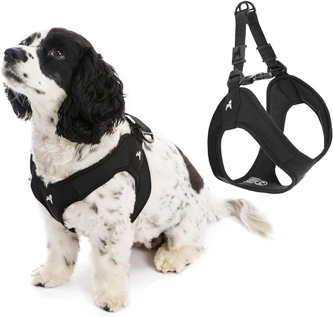 Gooby Escape Free Easy Fit Harness - Black, Medium - No Pull Step-in Patented Small Dog Harness with Quick Release Buckle - Perfect On the Go No Pull Harness for Small Dogs or Medium Dog Harness