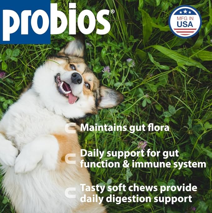 Probios for Dogs Soft Chews, Probiotics for Dogs, Daily Supplement for Gut Health, Digestion & Immune Support, Small Breeds, 4.23oz (Pack of 2)