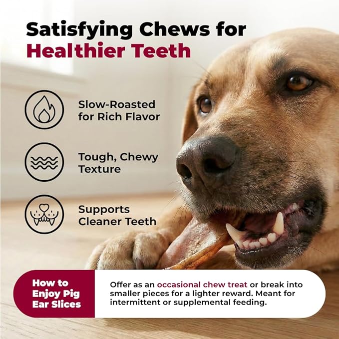 Best Pet Supplies GigaBite Roasted Pig Ears for Dogs - Natural Dog Chews, Roasted Pigs Ears, Safe for Puppies and Aggressive Chewers, Cleans Teeth and Gums - Premium Slivers, 1.8 Pounds