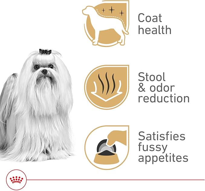 Royal Canin Breed Health Nutrition Maltese Adult Dry Dog Food, 2.5 lb Bag