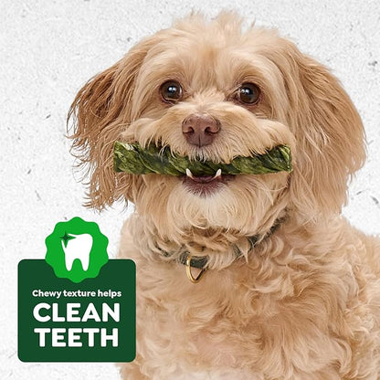 Greenies Occupy Twists Natural Dog Treats Petite Size Dog Chews Long Lasting Chicken Flavor, 8.75 oz. Pack, 10 Count