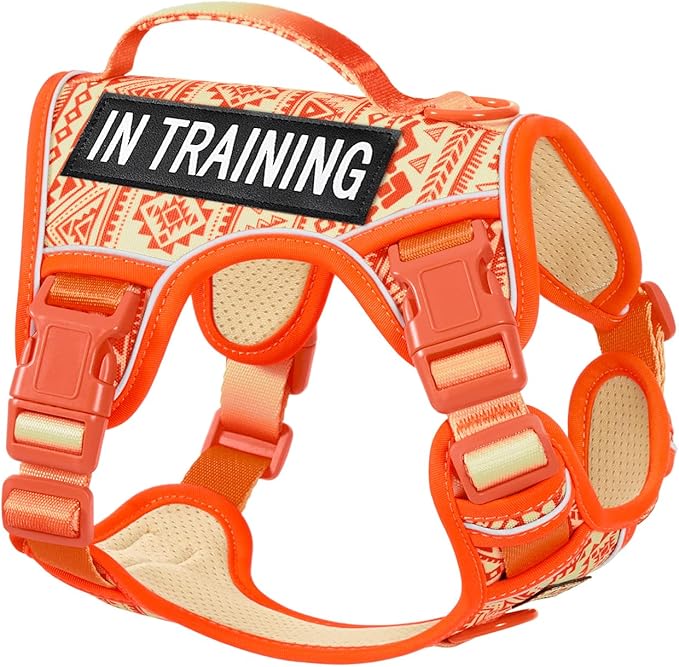AUNZO Dog Harness for X-Small Dog Breed, Light Pet Vest Harness with 2 Leash Clips and 3 Buckles, Easy to Wear, Adjustable Reflective Soft Padded, Boston Terrier, Beagle, Poodles, Orange XS