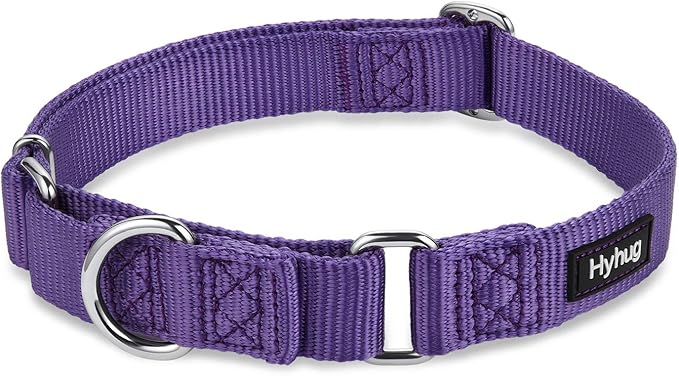 Hyhug Martingale Collar for Dogs Large Purple |Escape - Proof Heavy Duty Nylon Durable No Pull, Ideal for Training & Daily Walks