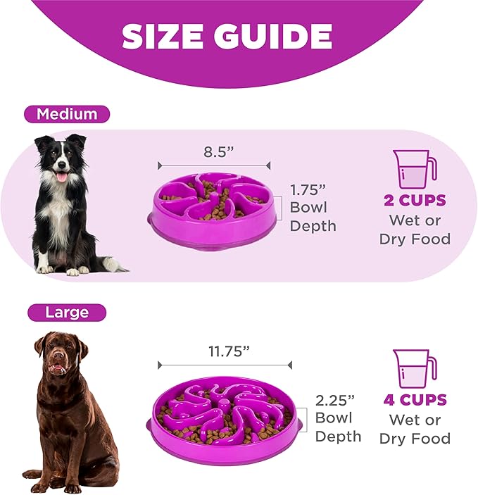 Outward Hound Fun Feeder Slo Bowl – Medium 2‑Cup Capacity, Slow Feeding, Small to Medium Dogs & Cats, Non-Slip, Purple, Flower Pattern