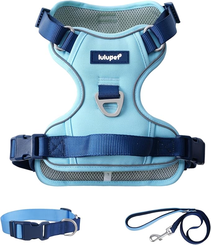 3 in 1 No Pull Dog Harness Leash and Collar Set, Soft Adjustable Dogs Vest Reflective and Comfortable Handle Blue Small