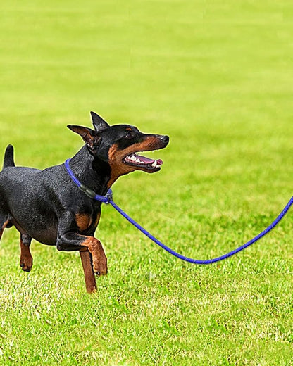 TagME 6ft Slip Dog Lead, No Pull Reflective Training Leash with Padded Handle, Professional Rope P-Leash for Small Medium Large Dogs, Heavy Duty Correction Lead for Walking & Training (Navy Blue)