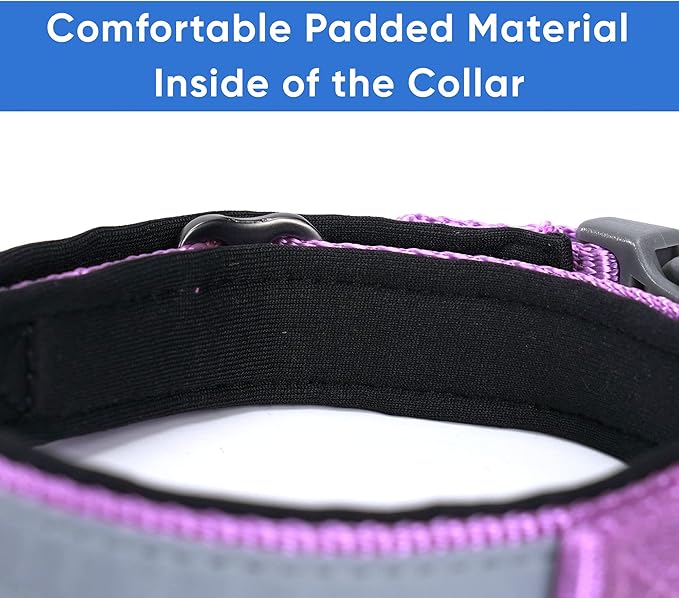 Pawtitas Lumberjack Padded Martingale Collar for Dogs | Soft Neoprene Dog Collar for Your pet's Comfort Made with Reflective Band for Maximum Visibility | Fits Small and Large Pets - Medium Orchid