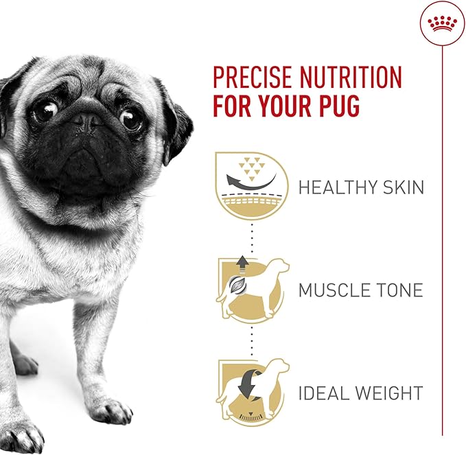 Royal Canin Breed Health Nutrition Pug Adult Dry Dog Food, 10 lb Bag