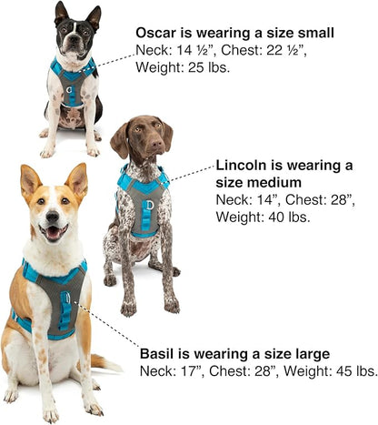 Kurgo Journey Air Dog Harness - Secure Fit for Active Dogs - Padded Chest - Lightweight Ripstop Fabric - Breathable Mesh - Reflective Trim - Back Assist Handle - Blue - Medium