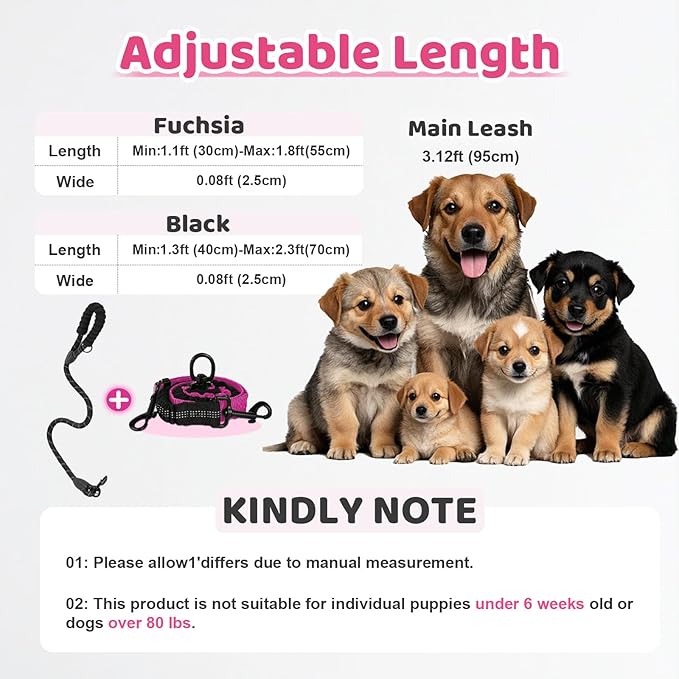 Double Dog Leash - 360°Swivel Tangle Free Splitter Attachment, 1 Rope with Handle, 2 Dogs Multi-Functional Leash, for Outdoor Walk Train Small Medium Large Two Pet, Fuchsia