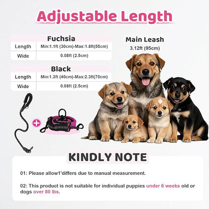 Double Dog Leash - 360°Swivel Tangle Free Splitter Attachment, 1 Rope with Handle, 2 Dogs Multi-Functional Leash, for Outdoor Walk Train Small Medium Large Two Pet, Fuchsia