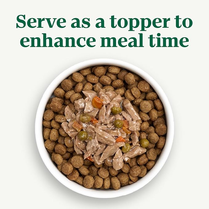 Nutro Hearty Stew Canned Wet Dog Food, Natural Grain Free Dog Food Wet Cuts in Gravy Tender Chicken with Carrot & Pea Stew, 12.5 oz. Cans (12 Count, Pack of 1)