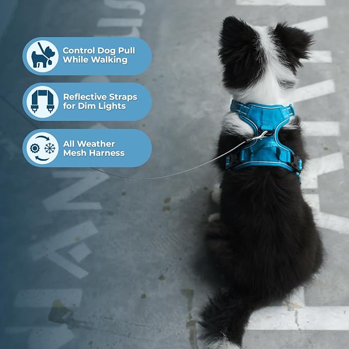 Voyager Dog Harness Dual Leash Attachment No-Pull Control Adjustable Soft but Strong Pet Harness for Medium and Large Dogs with 3M Reflective Technology, Turquoise Nylon, L (Chest: 25-30")